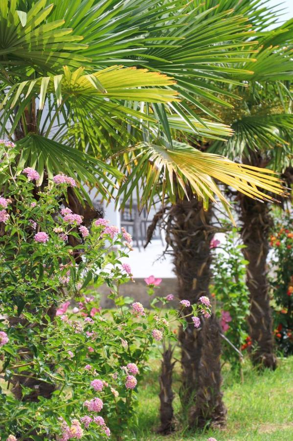 Hotel Velipoja Village Ngoại thất bức ảnh
